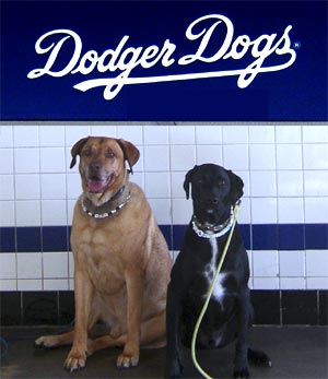 Dodger Dogs