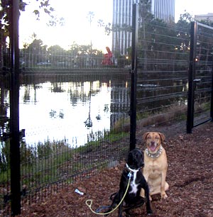 La Brea Tar Pits