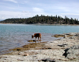 Heron Dam