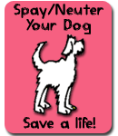 Albuquerque dog save a life - spay/neuter