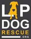 Lap Dog Rescue